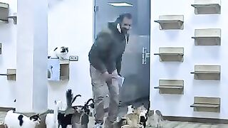 The road to heaven is crowded. #cat #kitten #catshelter #rescue