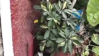 I will not betray the cats, even if the world betrays them. #rescuedcat #cat #kitten