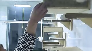 The cat bridge is getting crowded. #cat #kitten