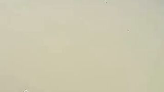 Looking for a fish or eel... Thanks for watching..,!!