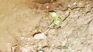 Looking for a fish or eel .. Thanks for watching..!! 2