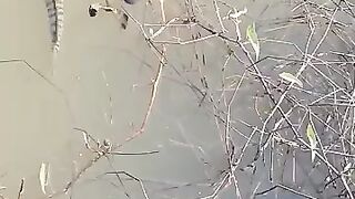 Looking for a fish or eel.. Thanks for watching..!! 91