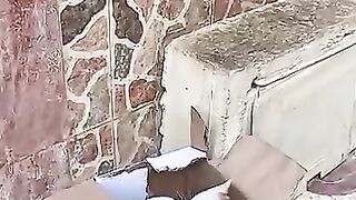 I made the mama cat smile before her kittens froze