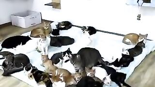 The paradise I would love to find in heaven.