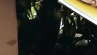 Triying to rescued confused cat mom with 4 kittens