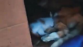 Before and after || 3 kittens rescued with their mother.