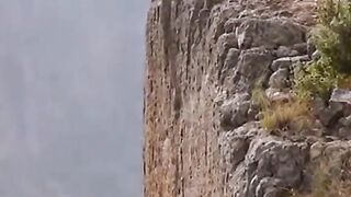 Lion jump on Kasongo