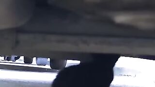 Kitten lost her mother, but I won't let her get lost under cars