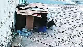 With a twisted leg and 3 kittens, a mama cat needs rescuing.