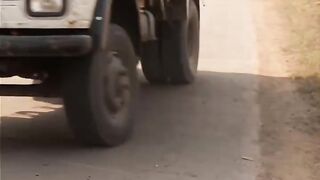 The Puppy Hard Work For His Mother ❤️