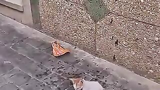 I want heaven that's why I can't stop saving them.