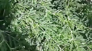 The cat stood up when she thought she would never walk again.