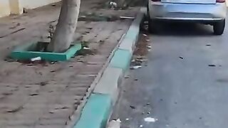 Saving a kitten won't change the world, but the world will chan