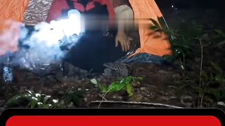 Niatnya cuma solo camping buat cari ketenangan di hutan Banyuwangi yang katanya angker
