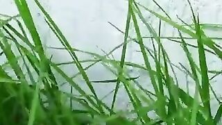 This Couple Tried to Save a Kitten With a Rotten Eye. #kitten #cat