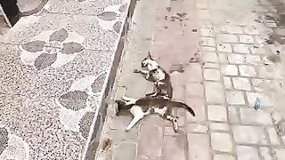 Before you move your truck, there are angels sleeping under its wheels.