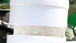 From Trash to Treasure: Creative DIY Garden Planters Project