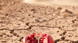 They Destroyed One… She Planted a Thousand ???????? | Revenge of Growth