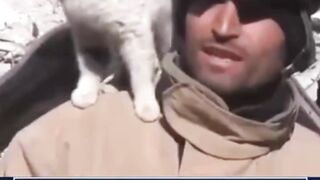 cara kucing berterima kasih