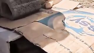 Mama cat is confused after being rescued with 5 kittens. #rescuedcat #kitten