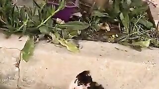 With my soul twisted neck, will you save me #kitten #Helpkitten