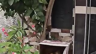 Trying to save a homeless mama cat with 2 kittens. #save