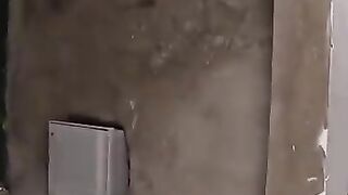 Mama Cat was quick to silence the kittens in the new home.#catmom