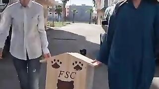 A gift for Mama's stray cat. #catmom