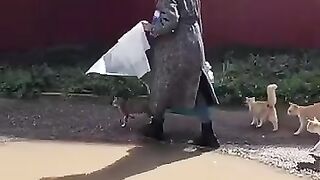 A couple tries to save all their city's cats so they don't become blind.