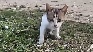 You want Heaven , you have to help