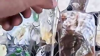 A wooden house for kittens causes a shock to the mama cat.