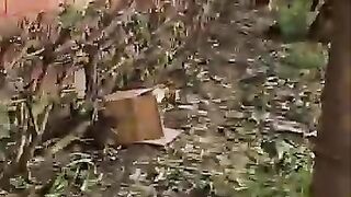 Trying to Save a Tripod Cat Mama with 6 Newborn Kittens -- save cat mom.