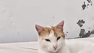 The miracle of love.