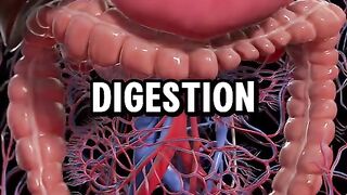 Healthy Recipe Hack You’ll Want to Save!