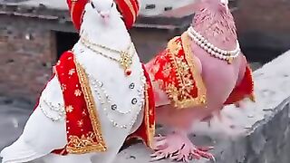 Dulhy Ka sahra suhan Lagta hy