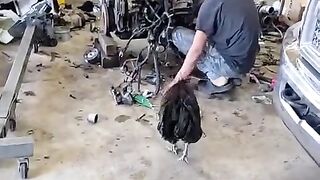 Watch These Funny Animals Make You Smile 6