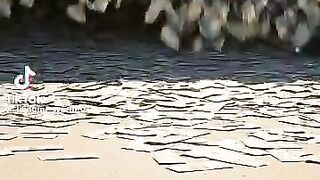 What Makes A Crypto Recovery Company Truly Trusted And Verified