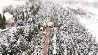 Winter Coat - drone footage of a woman walking at a christmas tree farm with her baby | Trendin