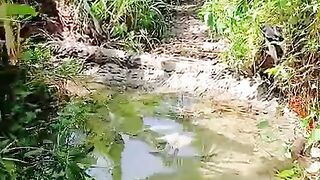 Why cheating is a necessity