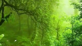 Beautiful view of nature 122