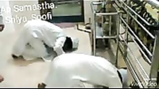 Mushrak log