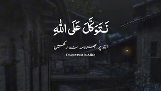 Quran tilawot