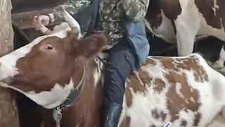 За руль нельзя
