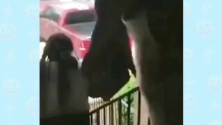 Most Funny Videos Memes