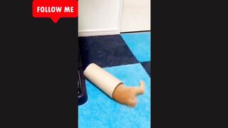 Cute funny cat | Follow me