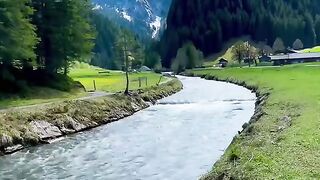 beauty of nature