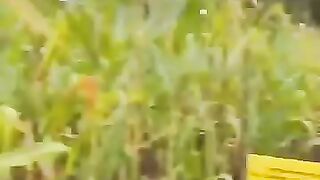 When they finally realize  ???? funny  video