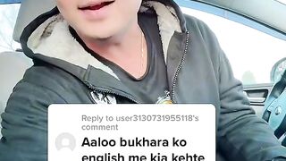 Alo bukara KO English ma kiya khata h
