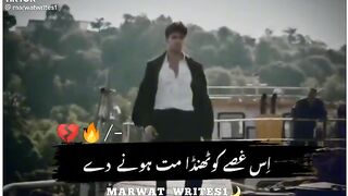 Vedio clip