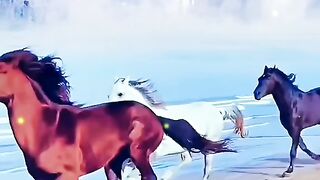 Running Horses